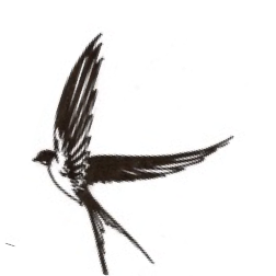 Primary Raster logo